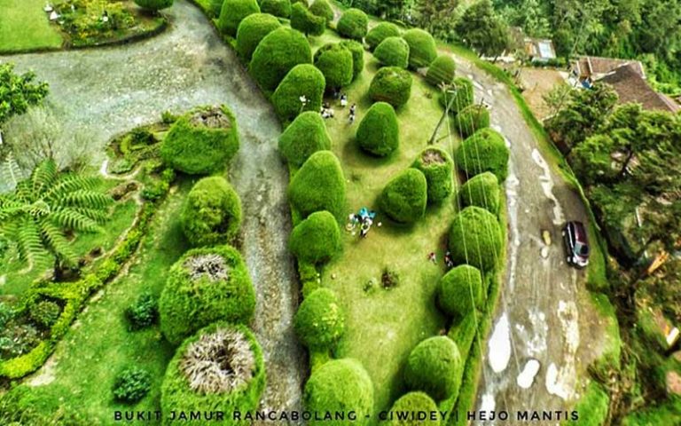 Bukit Jamur Rancabolang Ciwidey Dengan Spot Foto Yang Instagramable