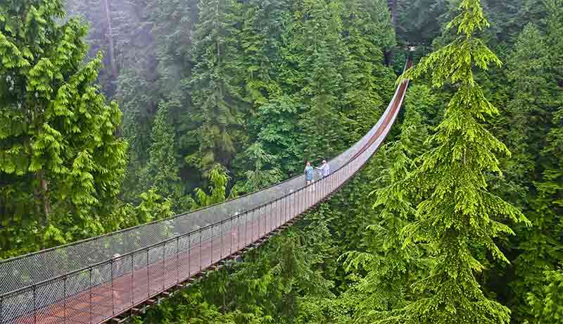 Harga Tiket Masuk Tempat Wisata Jembatan Gantung Rengganis di Ciwidey Bandung, Jawa Barat, Terpanjang di Asia Tenggara