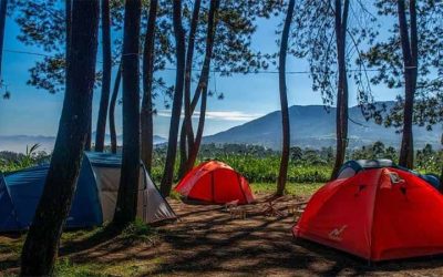 Datar Pinus Camp : Wisata Camping Pangalengan, Cek Harga Tiketnya