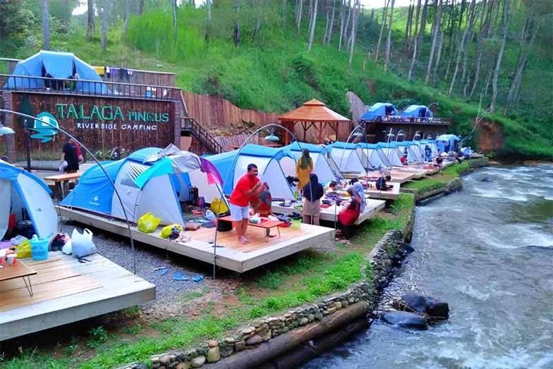 Wisata Instagrammable Pangalengan, Hutan Pinus Rahong, Wisata di Tengah Perkebunan Teh Pangalengan